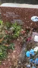 Захоронение ID 1295125