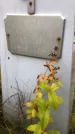 Захоронение ID 1295156