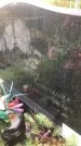Захоронение ID 1295343