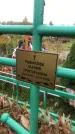 Захоронение ID 1295346