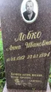 Захоронение ID 1295553