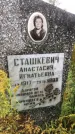 Захоронение ID 1295567