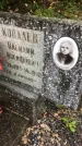 Захоронение ID 1295580