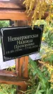 Захоронение ID 1295582