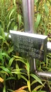 Захоронение ID 1295584