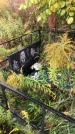 Захоронение ID 1295613
