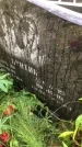 Захоронение ID 1295663