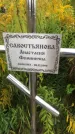 Захоронение ID 1295673