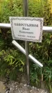 Захоронение ID 1295674