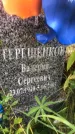 Захоронение ID 1295719