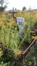 Захоронение ID 1296261