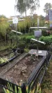 Захоронение ID 1296421