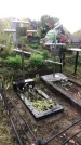 Захоронение ID 1296424