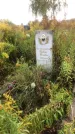 Захоронение ID 1296426