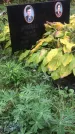 Захоронение ID 1296459