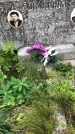 Захоронение ID 1296687