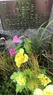 Захоронение ID 1296695