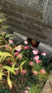 Захоронение ID 1296711