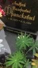 Захоронение ID 1296735