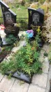 Захоронение ID 1296736
