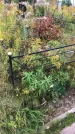 Захоронение ID 1296737