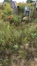 Захоронение ID 1296750