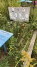 Захоронение ID 1296796