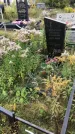 Захоронение ID 1296852