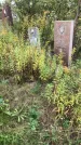 Захоронение ID 1296886