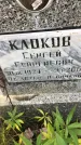 Захоронение ID 1296887