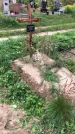 Захоронение ID 1296904
