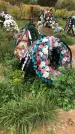 Захоронение ID 1296906