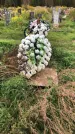 Захоронение ID 1296907