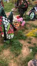 Захоронение ID 1296954