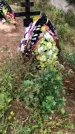 Захоронение ID 1297088
