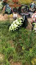 Захоронение ID 1297094