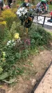 Захоронение ID 1297109