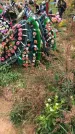 Захоронение ID 1297111