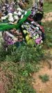 Захоронение ID 1297112