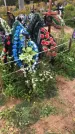 Захоронение ID 1297115