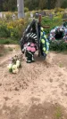 Захоронение ID 1297118