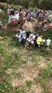 Захоронение ID 1297136