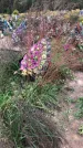 Захоронение ID 1297170