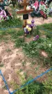 Захоронение ID 1297219