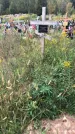 Захоронение ID 1297223