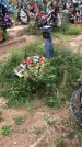 Захоронение ID 1297225