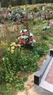Захоронение ID 1297229