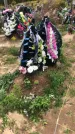 Захоронение ID 1297232