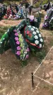 Захоронение ID 1297237