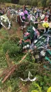 Захоронение ID 1297252